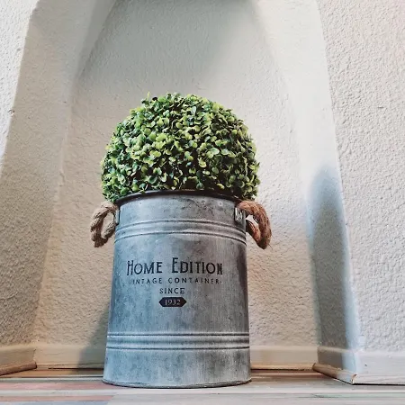 Vivre A Deux Pas Du Palais Daire Perpignan